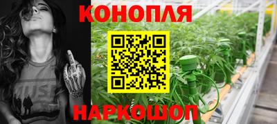 прущие грибы Шелехов
