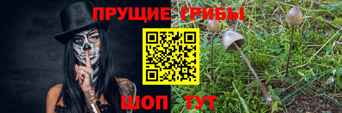 Асбест  Галлюциногенные грибы Psilocybine cubensis  купить закладку  Вход с VPN 
